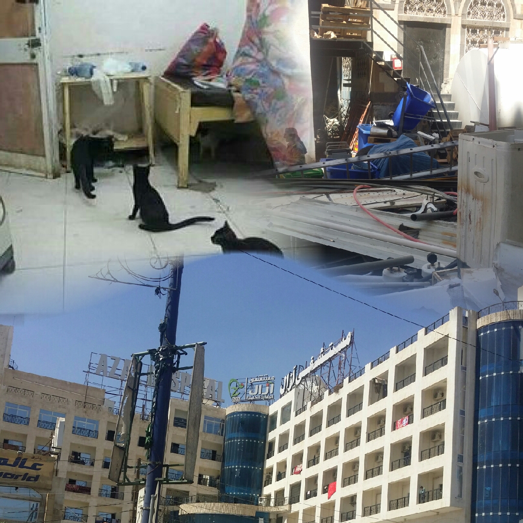 بالصور مستشفى آزال بصنعاء يتحول الى مكب نفايات ومستودع خردة وسمسرة للقطط المتشردة